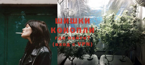 скорость Гусев
