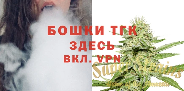 бошки Гусиноозёрск