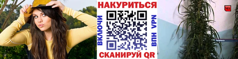 Марихуана AK-47  Навашино 